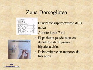 Zona Dorsoglútea
• Cuadrante superoexterno de la
nalga.
• Admite hasta 7 ml.
• El paciente puede estar en
decúbito lateral,prono o
bipedestación.
• Debe evitarse en menores de
tres años.
Vía
Intramuscular
 