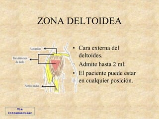 ZONA DELTOIDEA
• Cara externa del
deltoides.
• Admite hasta 2 ml.
• El paciente puede estar
en cualquier posición.
Vía
Intramuscular
 