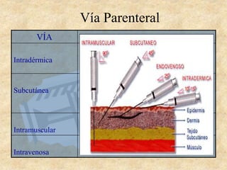 Vía Parenteral
VÍA
Intradérmica
•Prueba de Mantoux
•Pruebas cutáneas
•Anestésicos locales
Subcutánea
•Insulinas
•Heparinas
•Vacunas
•Otros fármacos
Intramuscular
•Vacunas
•Otros fármacos
Intravenosa
•Medicación urgente
•Múltiples fármacos a diluir en suero
 