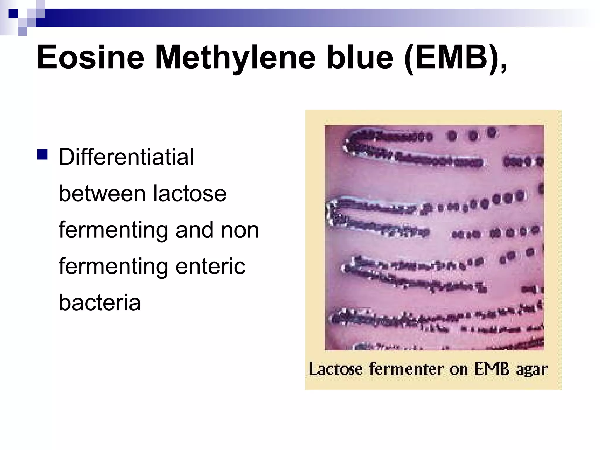 Eosine Methylene blue (EMB),
 Differentiatial
between lactose
fermenting and non
fermenting enteric
bacteria
 