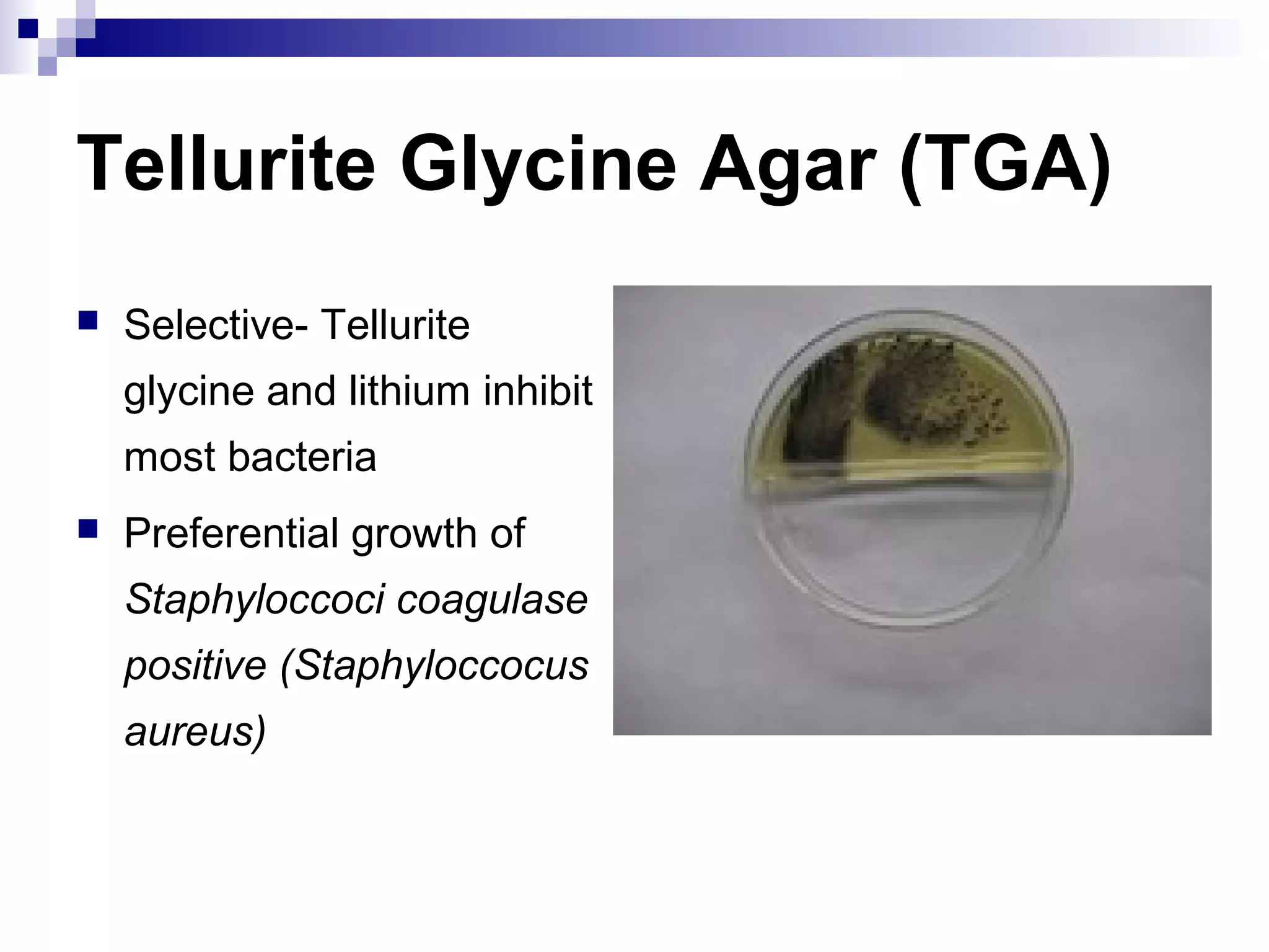 Tellurite Glycine Agar (TGA)
 Selective- Tellurite
glycine and lithium inhibit
most bacteria
 Preferential growth of
Staphyloccoci coagulase
positive (Staphyloccocus
aureus)
 