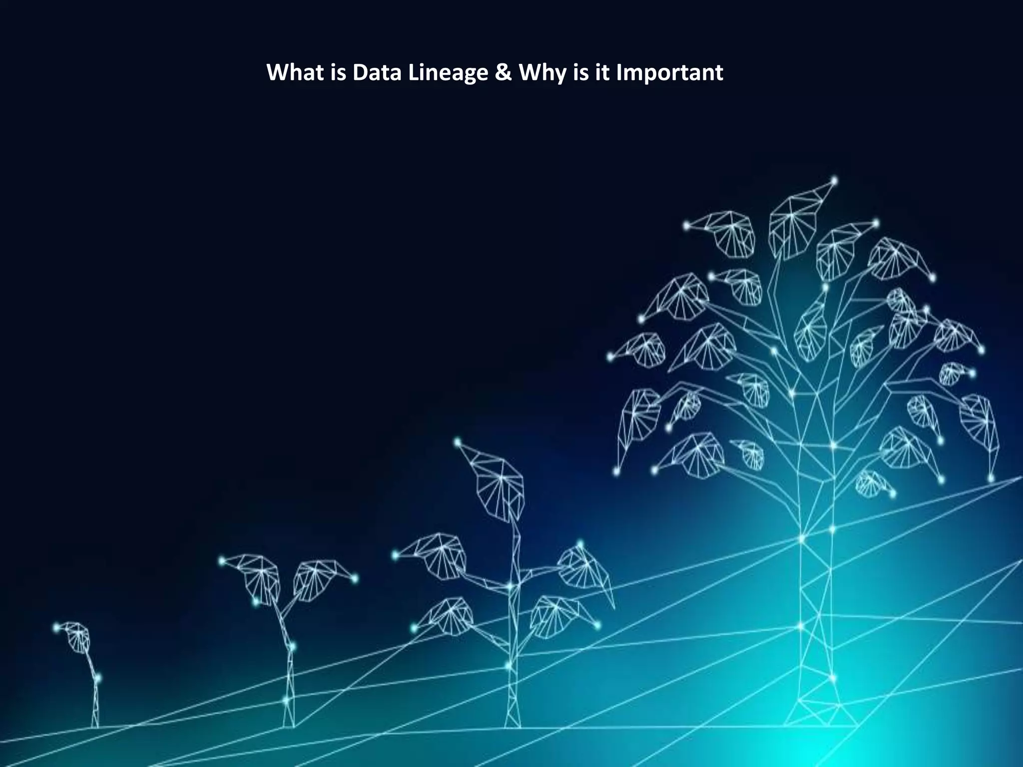 What is Data Lineage & Why is it Important