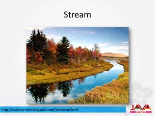 Stream




http://natureadore.blogspot.com/p/stream.html
 