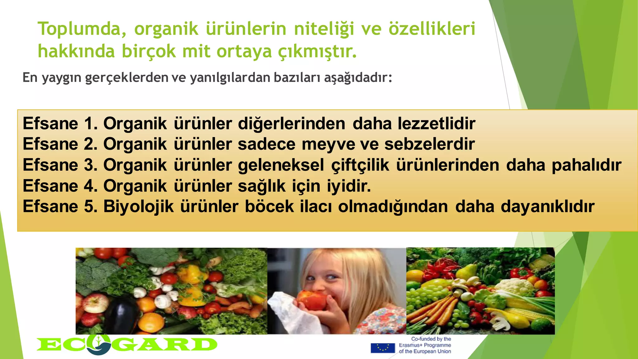 Toplumda, organik ürünlerin niteliği ve özellikleri
hakkında birçok mit ortaya çıkmıştır.
En yaygın gerçeklerden ve yanılgılardan bazıları aşağıdadır:
Efsane 1. Organik ürünler diğerlerinden daha lezzetlidir
Efsane 2. Organik ürünler sadece meyve ve sebzelerdir
Efsane 3. Organik ürünler geleneksel çiftçilik ürünlerinden daha pahalıdır
Efsane 4. Organik ürünler sağlık için iyidir.
Efsane 5. Biyolojik ürünler böcek ilacı olmadığından daha dayanıklıdır
 