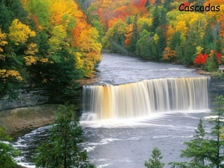 Cascadas
 