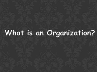 What is an Organization?
 