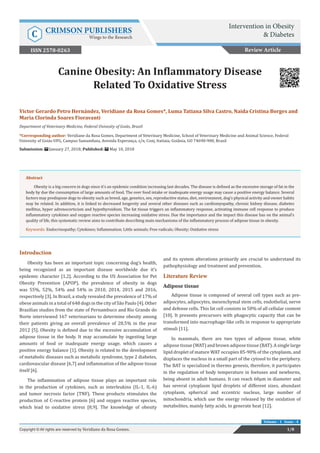 Canine Obesity: An Inflammatory Disease
Related To Oxidative Stress
Introduction
Obesity has been an important topic concerning dog’s health,
being recognized as an important disease worldwide due it’s
epidemic character [1,2]. According to the US Association for Pet
Obesity Prevention (APOP), the prevalence of obesity in dogs
was 55%, 52%, 54% and 54% in 2010, 2014, 2015 and 2016,
respectively [3]. In Brazil, a study revealed the prevalence of 17% of
obese animals in a total of 648 dogs in the city of São Paulo [4]. Other
Brazilian studies from the state of Pernambuco and Rio Grande do
Norte interviewed 167 veterinarians to determine obesity among
their patients giving an overall prevalence of 28.5% in the year
2012 [5]. Obesity is defined due to the excessive accumulation of
adipose tissue in the body. It may accumulate by ingesting large
amounts of food or inadequate energy usage, which causes a
positive energy balance [1]. Obesity is related to the development
of metabolic diseases such as metabolic syndrome, type 2 diabetes,
cardiovascular disease [6,7] and inflammation of the adipose tissue
itself [6].
The inflammation of adipose tissue plays an important role
in the production of cytokines, such as interleukins (IL-1, IL-6)
and tumor necrosis factor (TNF). These products stimulates the
production of C-reactive protein [6] and oxygen reactive species,
which lead to oxidative stress [8,9]. The knowledge of obesity
and its system alterations primarily are crucial to understand its
pathophysiology and treatment and prevention.
Literature Review
Adipose tissue
Adipose tissue is composed of several cell types such as pre-
adipocytes, adipocytes, mesenchymal stem cells, endothelial, nerve
and defense cells. This fat cell consists in 50% of all cellular content
[10]. It presents precursors with phagocytic capacity that can be
transformed into macrophage-like cells in response to appropriate
stimuli [11].
In mammals, there are two types of adipose tissue, white
adipose tissue (WAT) and brown adipose tissue (BAT). A single large
lipid droplet of mature WAT occupies 85-90% of the cytoplasm, and
displaces the nucleus in a small part of the cytosol to the periphery.
The BAT is specialized in thermo genesis, therefore, it participates
in the regulation of body temperature in foetuses and newborns,
being absent in adult humans. It can reach 60μm in diameter and
has several cytoplasm lipid droplets of different sizes, abundant
cytoplasm, spherical and eccentric nucleus, large number of
mitochondria, which use the energy released by the oxidation of
metabolites, mainly fatty acids, to generate heat [12].
Review Article
1/8Copyright © All rights are reserved by Veridiane da Rosa Gomes.
Volume - 1 Issue - 4
Victor Gerardo Petro Hernández, Veridiane da Rosa Gomes*, Luma Tatiana Silva Castro, Naida Cristina Borges and
Maria Clorinda Soares Fioravanti
Department of Veterinary Medicine, Federal Univesity of Goiás, Brazil
*Corresponding author: Veridiane da Rosa Gomes, Department of Veterinary Medicine, School of Veterinary Medicine and Animal Science, Federal
Univesity of Goiás-UFG, Campus Samambaia, Avenida Esperança, s/n, Conj. Itatiaia, Goiânia, GO 74690-900, Brazil
Submission: January 27, 2018; Published: May 10, 2018
Abstract
Obesity is a big concern in dogs since it’s an epidemic condition increasing last decades. The disease is defined as the excessive storage of fat in the
body by due the consumption of large amounts of food. The over food intake or inadequate energy usage may cause a positive energy balance. Several
factors may predispose dogs to obesity such as breed, age, genetics, sex, reproductive status, diet, environment, dog’s physical activity and owner habits
may be related. In addition, it is linked to decreased longevity and several other diseases such as cardiomyopathy, chronic kidney disease, diabetes
mellitus, hyper adrenocorticism and hypothyroidism. The fat tissue triggers an inflammatory response, activating immune cell response to produce
inflammatory cytokines and oxygen reactive species increasing oxidative stress. Due the importance and the impact this disease has on the animal’s
quality of life, this systematic review aims to contribute describing main mechanisms of the inflammatory process of adipose tissue in obesity.
Keywords: Endocrinopathy; Cytokines; Inflammation; Little animals; Free radicals; Obesity; Oxidative stress
Intervention in Obesity
& DiabetesC CRIMSON PUBLISHERS
Wings to the Research
ISSN 2578-0263
 