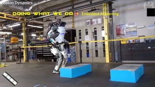 DOING WHAT WE DO - Embedded AI Learning
 