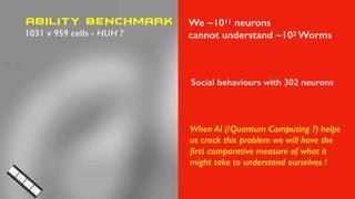 ABILITY BENCHMARK
1031 v 959 cells - HUH ?
When AI (/Quantum Computing ?) helps
us crack this problem we will have the
ﬁrst comparative measure of what it
might take to understand ourselves !
We ~1011 neurons
cannot understand ~102 Worms
Social behaviours with 302 neurons
 