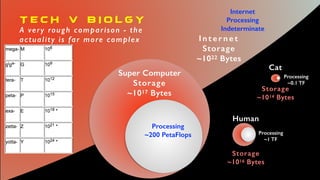 Processing
Speed
Data
Storage
Internet
Processing
Indeterminate
I n t e r n e t
Storage
~1022 Bytes
Human
Storage
~1016 Bytes
Processing
~1 TF
Cat
Storage
~1014 Bytes
Processing
~0.1 TF
T E C H V B I O L G Y
A very rough comparison - the
actuality is far more complex
Super Computer
Storage
~1017 Bytes
Processing
~200 PetaFlops
 
