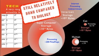 Processing
Speed
Data
Storage
Internet
Processing
Indeterminate
I n t e r n e t
Storage
~1022 Bytes
Human
Storage
~1016 Bytes
Processing
~1 TF
Cat
Storage
~1014 Bytes
Processing
~0.1 TF
T E C H V B I O L G Y
A very rough comparison - the
actuality is far more complex
Super Computer
Storage
~1017 Bytes
Processing
~200 PetaFlops
STILL Relatively
D U M B c o m p a r e d
to biology
 