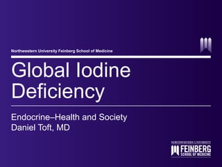 Northwestern University Feinberg School of Medicine 
Global Iodine 
Deficiency 
Endocrine–Health and Society 
Daniel Toft, MD 
 