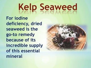 For iodine
deficiency, dried
seaweed is the
go-to remedy
because of its
incredible supply
of this essential
mineral
Kelp Seaweed
 