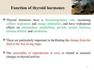 Function of thyroid hormones
 Thyroid hormones have a thermoregulatory role, increasing
cellular respiration and energy production, and have widespread
effects on intermediary metabolism, growth, muscle function,
immune defence and circulation.
 These are particularly important in facilitating the change from the
fetal to the free-living stage.
 The seasonality of reproduction in ewes is related to seasonal
changes in thyroid activity.
10
 