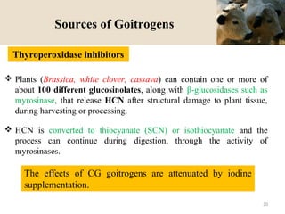 Sources of Goitrogens
 Plants (Brassica, white clover, cassava) can contain one or more of
about 100 different glucosinolates, along with β-glucosidases such as
myrosinase, that release HCN after structural damage to plant tissue,
during harvesting or processing.
 HCN is converted to thiocyanate (SCN) or isothiocyanate and the
process can continue during digestion, through the activity of
myrosinases.
Thyroperoxidase inhibitors
The effects of CG goitrogens are attenuated by iodine
supplementation.
20
 