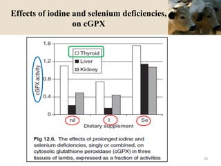 Effects of iodine and selenium deficiencies,
on cGPX
25
 