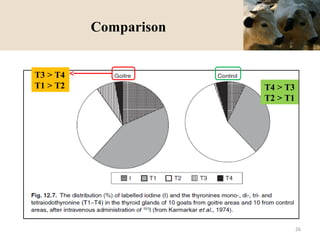 Comparison
T3 > T4
T1 > T2 T4 > T3
T2 > T1
26
 