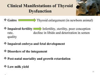Clinical Manifestations of Thyroid
Dysfunction
 Goitre Thyroid enlargement (in newborn animal)
 Impaired fertility Infertility, sterility, poor conception
rate, decline in libido and deteriration in semen
quality
 Impaired embryo and fetal development
 Disorders of the integument
 Post-natal mortality and growth retardation
 Low milk yield
28
 