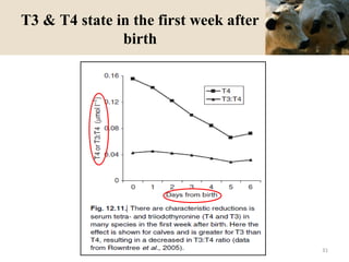 T3 & T4 state in the first week after
birth
31
 