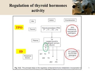 Regulation of thyroid hormones
activity
TPO
ID
9
 