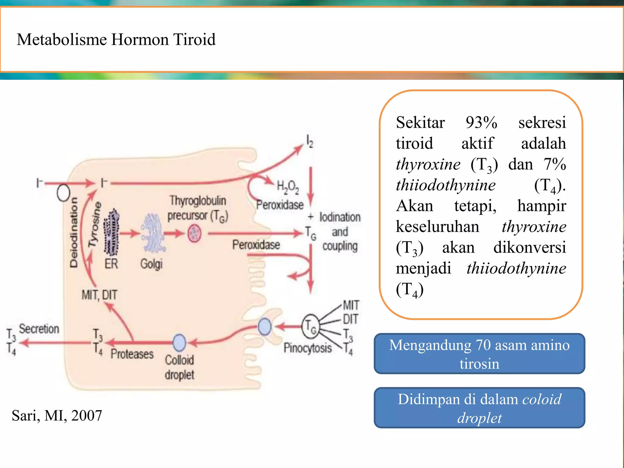 Iodium [autosaved] | PPTX