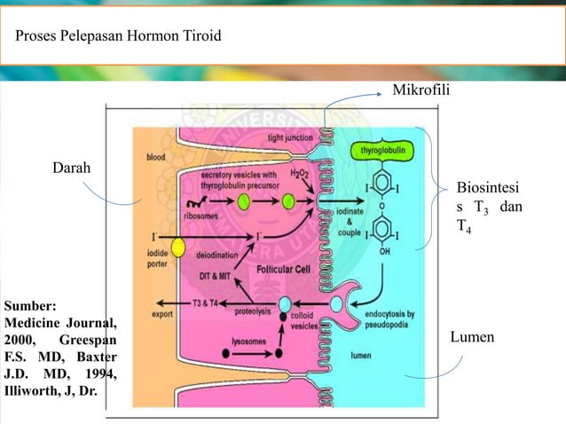 Iodium [autosaved] | PPTX