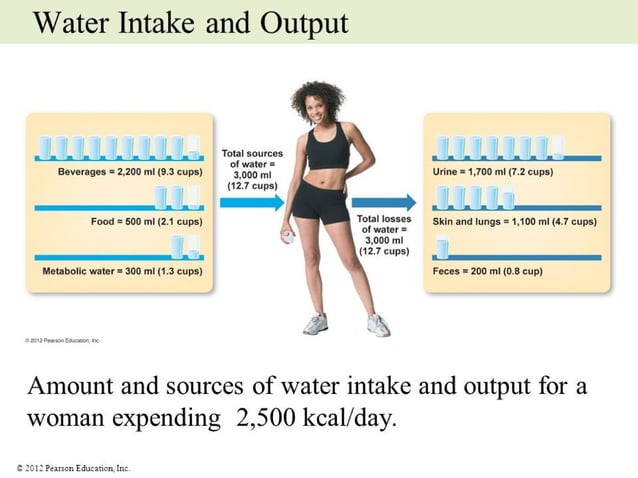 Intake Output Chart Guidelines | PPT | Medical Health