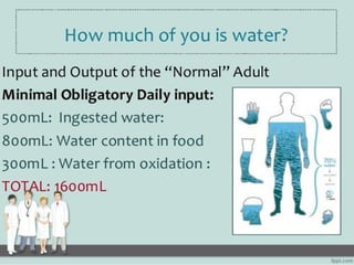 Intake Output Chart Guidelines