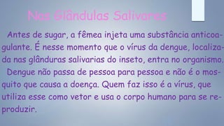Nas Glândulas Salivares
Antes de sugar, a fêmea injeta uma substância anticoa-
gulante. É nesse momento que o vírus da dengue, localiza-
da nas glânduras salivarias do inseto, entra no organismo.
Dengue não passa de pessoa para pessoa e não é o mos-
quito que causa a doença. Quem faz isso é a vírus, que
utiliza esse como vetor e usa o corpo humano para se re-
produzir.
 