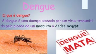 Dengue
O que é dengue?
A dengue é uma doença causada por um vírus transmiti-
da pela picada de um mosquito o Aedes Aegypti.
 