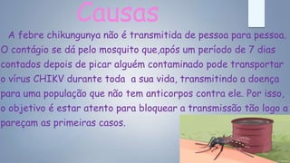 Causas
A febre chikungunya não é transmitida de pessoa para pessoa.
O contágio se dá pelo mosquito que,após um período de 7 dias
contados depois de picar alguém contaminado pode transportar
o vírus CHIKV durante toda a sua vida, transmitindo a doença
para uma população que não tem anticorpos contra ele. Por isso,
o objetivo é estar atento para bloquear a transmissão tão logo a
pareçam as primeiras casos.
 