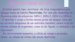 Quatro tipos de vírus.
Existem quatro tipo- sorotipos- de vírus responsáveis pela
dengue todas da família Flaviviridae. Por isso,são chamadas de
flavivírus,além de arbovíros: DEN-1, DEN-2, DEN-3 e DEN-4.
O sorotipo 1 causa a forma menos grave da dengue. Uma vez
na corrente sanguínea de um indivíduo saudável, esses vírus en-
volvem células do organismo, como os do fígado, e começam a se
reproduzir.
Em determinado momento, a célula se rompe o processo.
Assim, as células da vítima vão sendo destruído.
 