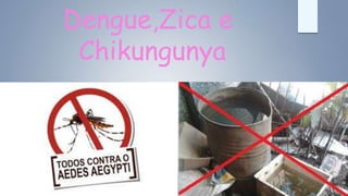 Dengue,Zica e
Chikungunya
 