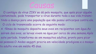 Causas
O contágio do vírus ZIKV se dá pelo mosquito, que após picar alguém
contaminado, pode transportar o vírus durante toda a sua vida,transmi-
tindo a doença para uma população que não possui anticorpos contra ele.
O ciclo de transmissão ocorre do seguinte modo:
A fêmea do mosquito deposita seus ovos em recipientes com água.Ao
saírem dos ovos, as larvas vivem na água por cerca de uma semana.Após
este período, transforma-se em mosquitos adultos, pronto para picar
as pessoas.O Aedes aegypti procria em velocidade prodigiosa e o mosqui-
to adulto vive em média 45 dias.
 