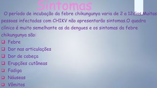 SintomasO período de incubação da febre chikungunya varia de 2 a 12dias.Muitas
pessoas infectadas com CHIKV não apresentarão sintomas.O quadra
clínico é muito semelhante as da dengues e os sintomas da febre
chikungunya são:
 Febre
 Dor nas articulações
 Dor de cabeça
 Erupções cutâneas
 Fadiga
 Náuseas
 Vômitos
 