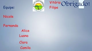 Equipe:
Nicole
Fernanda
Alice
Luana
Clara
Camila
Vitória
Filipe
Obrigado!
 