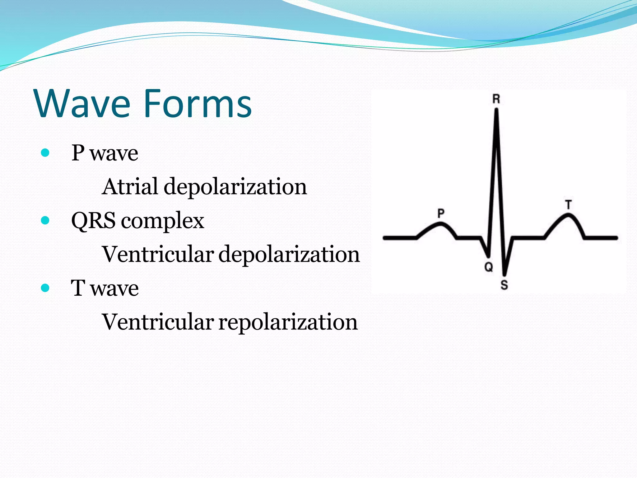 Wave Forms
 P wave
Atrial depolarization
 QRS complex
Ventricular depolarization
 T wave
Ventricular repolarization
 