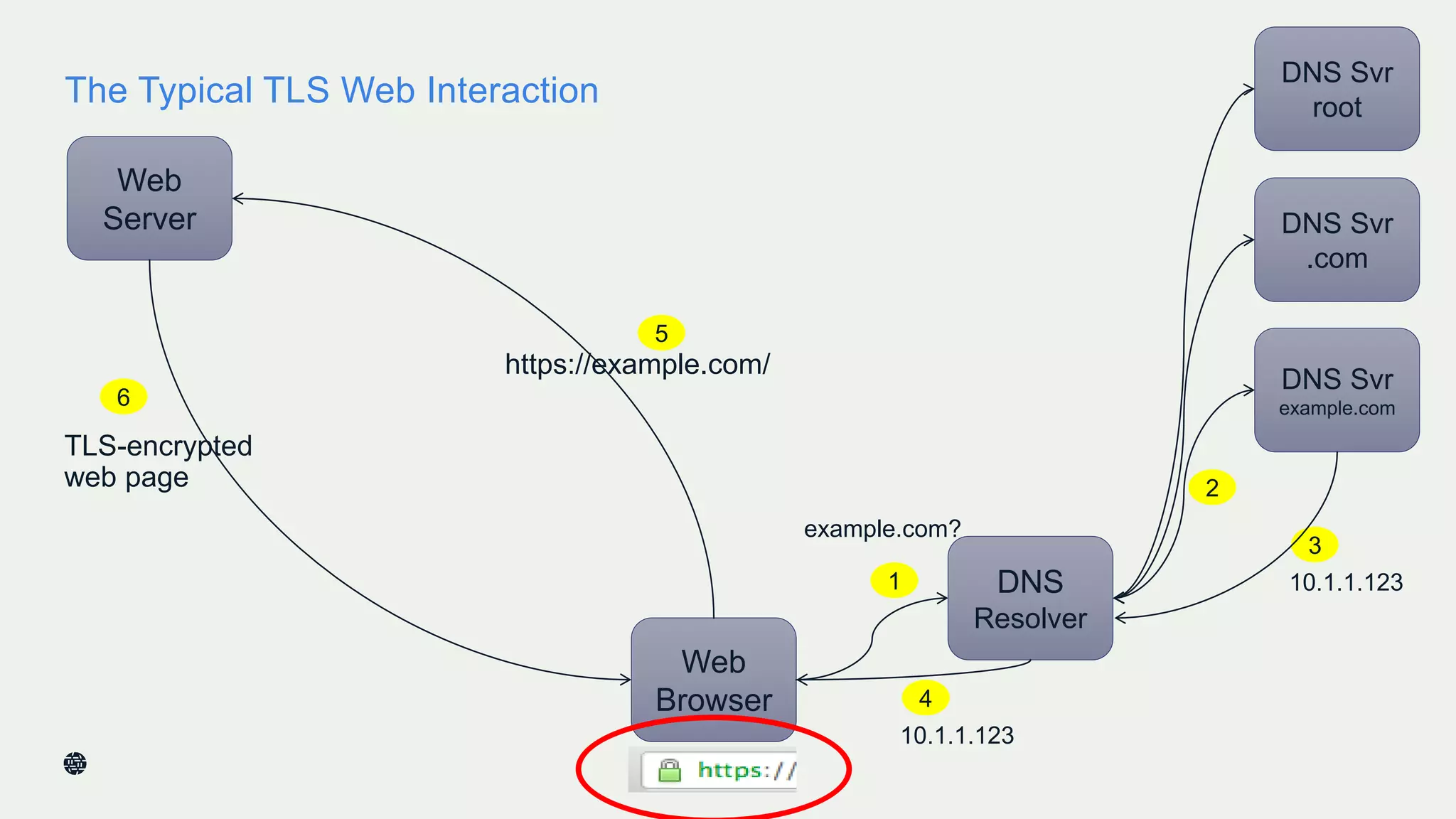 The Typical TLS Web Interaction
Web
Server
Web
Browser
https://example.com/
TLS-encrypted
web page
DNS
Resolver
example.com?
10.1.1.1231
2
5
6
DNS Svr
example.com
DNS Svr
.com
DNS Svr
root
3
10.1.1.123
4
 