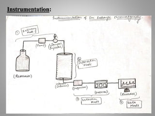 Ion-exchange chromatography ( Affan Hashmi ).pptx