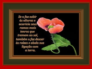 Se o faz subir
   às alturas e
  acaricia seus
   ramos mais
   tenros que
 tremem ao sol,
também o faz descer
às raízes e abala sua
    ligação com
        a terra.
 