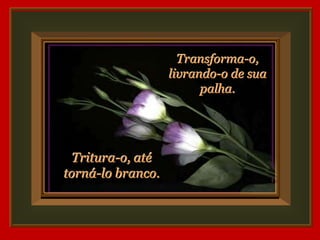 Transforma-o,
                   livrando-o de sua
                         palha.




  Tritura-o, até
torná-lo branco.
 