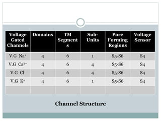 Voltage 
Gated 
Channels 
Domains TM 
Segment 
s 
Sub- 
Units 
Pore 
Forming 
Regions 
Voltage 
Sensor 
V.G Na+ 4 6 1 S5-S6 S4 
V.G Ca2+ 4 6 4 S5-S6 S4 
V.G Cl- 4 6 4 S5-S6 S4 
V.G K+ 4 6 1 S5-S6 S4 
Channel Structure 
 