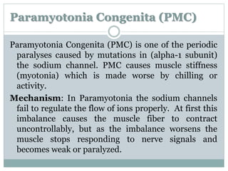Paramyotonia Congenita (PMC) 
Paramyotonia Congenita (PMC) is one of the periodic 
paralyses caused by mutations in (alpha-1 subunit) 
the sodium channel. PMC causes muscle stiffness 
(myotonia) which is made worse by chilling or 
activity. 
Mechanism: In Paramyotonia the sodium channels 
fail to regulate the flow of ions properly. At first this 
imbalance causes the muscle fiber to contract 
uncontrollably, but as the imbalance worsens the 
muscle stops responding to nerve signals and 
becomes weak or paralyzed. 
 