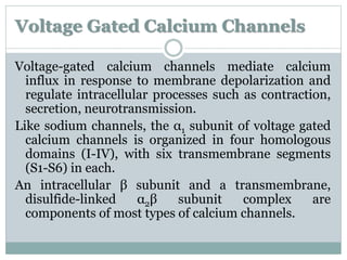 Voltage Gated Calcium Channels 
Voltage-gated calcium channels mediate calcium 
influx in response to membrane depolarization and 
regulate intracellular processes such as contraction, 
secretion, neurotransmission. 
Like sodium channels, the α1 subunit of voltage gated 
calcium channels is organized in four homologous 
domains (I-IV), with six transmembrane segments 
(S1-S6) in each. 
An intracellular β subunit and a transmembrane, 
disulfide-linked α2β subunit complex are 
components of most types of calcium channels. 
 