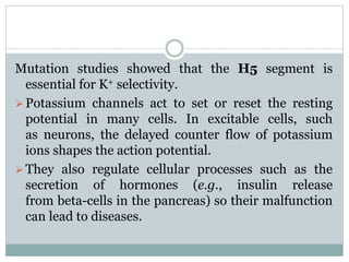 Mutation studies showed that the H5 segment is 
essential for K+ selectivity. 
Potassium channels act to set or reset the resting 
potential in many cells. In excitable cells, such 
as neurons, the delayed counter flow of potassium 
ions shapes the action potential. 
They also regulate cellular processes such as the 
secretion of hormones (e.g., insulin release 
from beta-cells in the pancreas) so their malfunction 
can lead to diseases. 
 