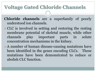 Voltage Gated Chloride Channels 
Chloride channels are a superfamily of poorly 
understood ion channels. 
CLC is involved in setting and restoring the resting 
membrane potential of skeletal muscle, while other 
channels play important parts in solute 
concentration mechanisms in the kidney. 
A number of human disease-causing mutations have 
been identified in the genes encoding CLCs. These 
mutations have been demonstrated to reduce or 
abolish CLC function. 
 