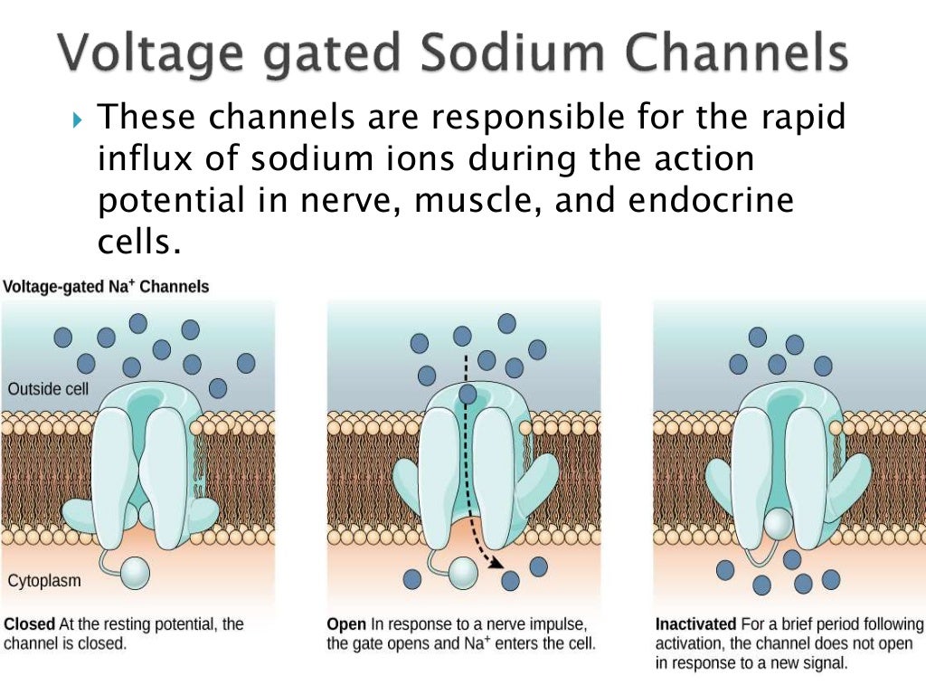 Ion channels