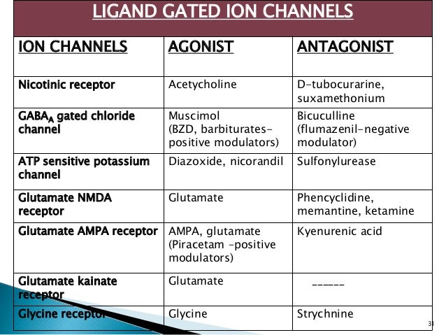 Ion Channels