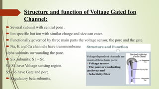 Ion channels | PPTX