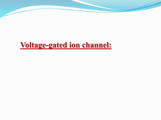 Voltage-gated ion channel:
 